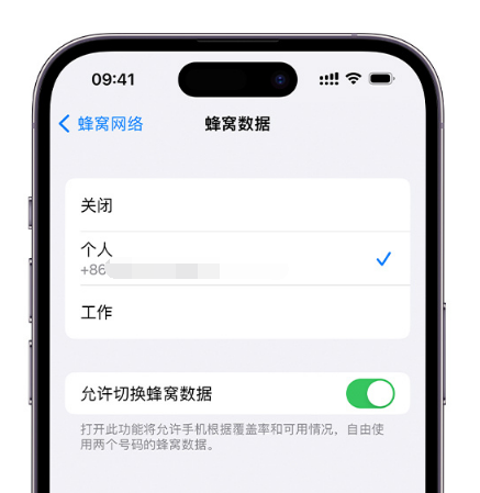 阿拉善左苹果维修服务分享如何在iPhone上使用双卡 